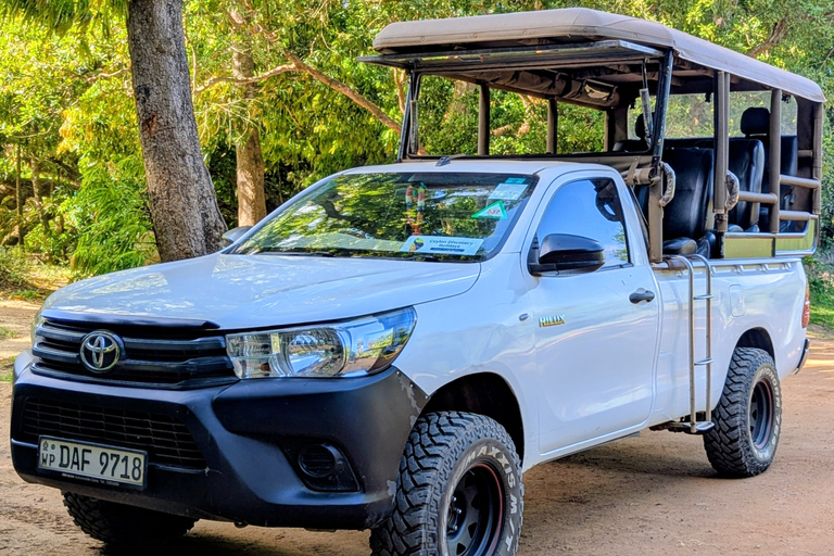 From Bentota: All Inclusive Yala National Park Jeep Safari Mirissa/Weligama/Matara/Tangalle: Yala Leopard Safari