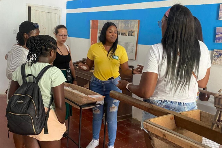 CARTAGENA: Vulkaan del totumo, Galerazamba en Manglar de la Boquilla Route