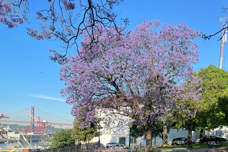 Lisbon City Tour HALF DAY 4h - VAN