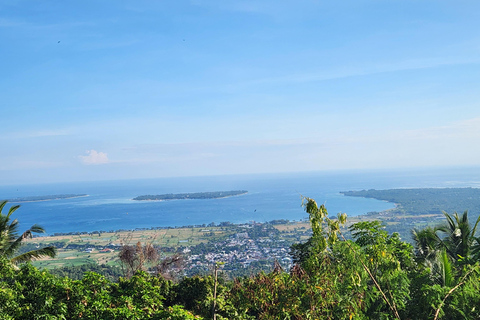 Passeios com cogumelos em Gili