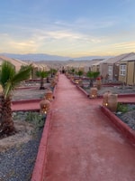 Pase del día del desierto de agafay, acceso a la piscina, entretenimiento de lanzamiento-vida - Housity