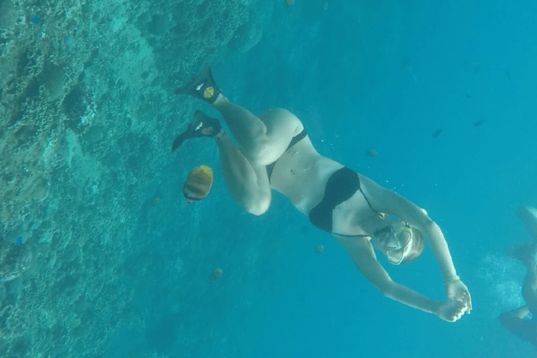 Vanuit Lembongan: Snorkelen 3 Spot Manta Bay, Gamat en MuurOchtendsessie