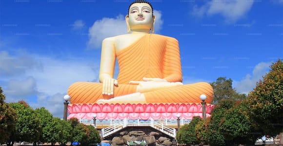 City Tour: Discover Aluthgama with Thrilling Adventures