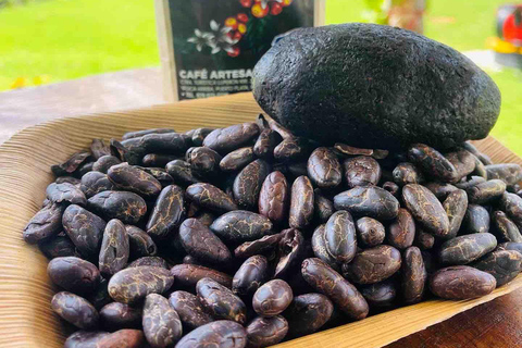 Country Coffee Farm Tour with Tasting and Lunch