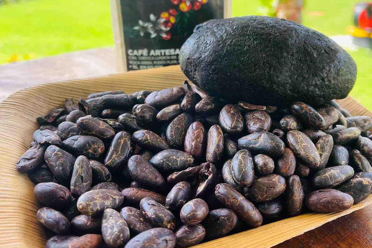 Country Coffee Farm Tour with Tasting and Lunch