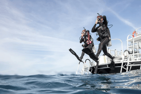 Oman: Discover Scuba Diving Experience