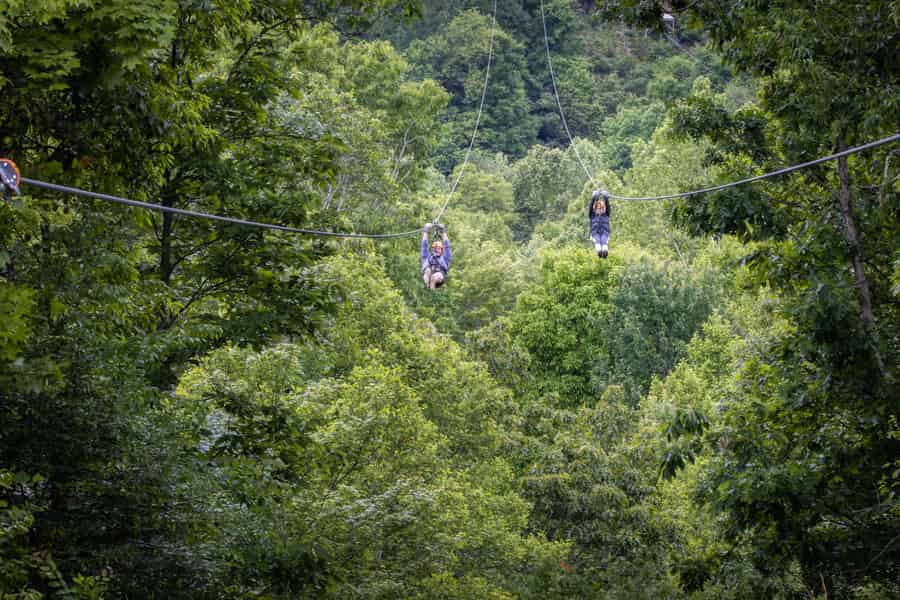 New River Gorge: Abenteuer mit Gravity Ziplines. Foto: GetYourGuide