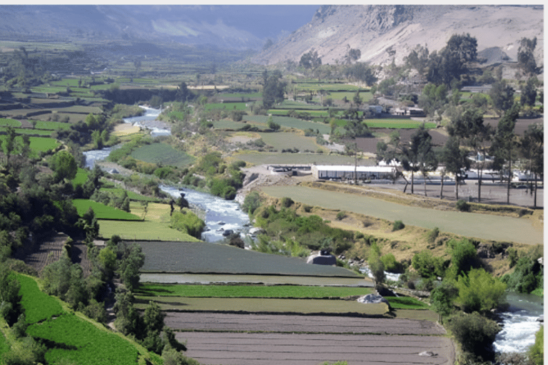 AREQUIPA: TOUR PANORAMICO DELLA CITTÀ DI MEZZA GIORNATA