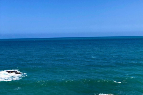 Trekking Tayrona complet x 2 jours : jungle, plages et culture indigèneTrekking complet Tayrona x 2 jours : jungle, plages et culture indigène