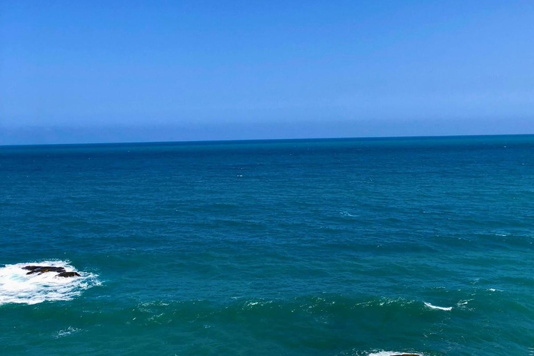 Trekking Tayrona complet x 2 jours : jungle, plages et culture indigèneTrekking complet Tayrona x 2 jours : jungle, plages et culture indigène