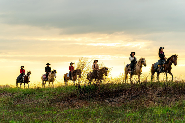 French Riviera: Private Scenic Col de Vence Horseback Ride French Riviera: Panoramic Col de Vence Horseback Ride
