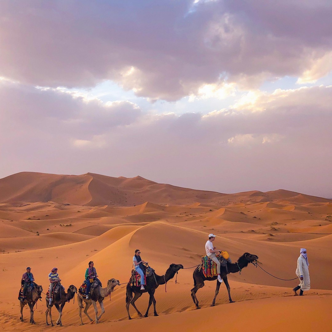 Depuis Merzouga : balade à dos de chameau au coucher du soleil et surf des sables