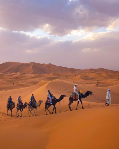 Visit From Merzouga Sunset Camel Ride & Sandboarding in Sahara Desert, Morocco