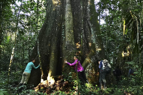 From Cusco | Manu Jungle Tour 7D/6N | Wonders of Manu