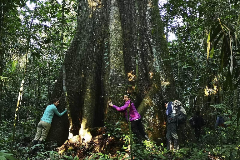 From Cusco | Manu Jungle Tour 7D/6N | Wonders of Manu