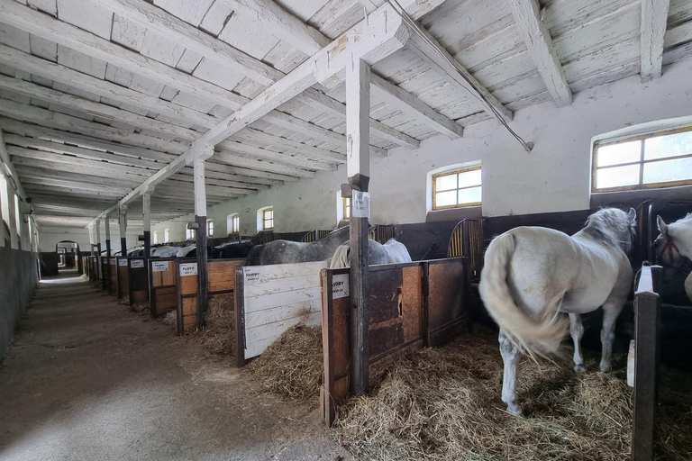 Myths, Horses & Monks – A Transylvanian Storytelling Journey