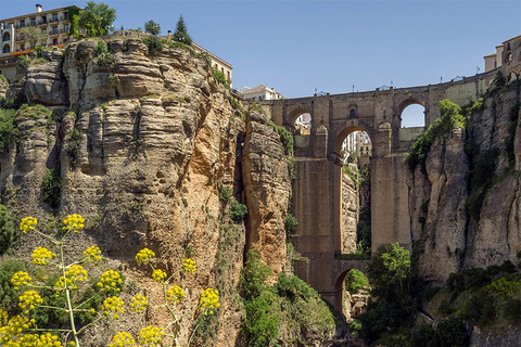 Depuis Malaga : Bus Tour à Ronda + LA Almazara EcoExperience Oleoturismo