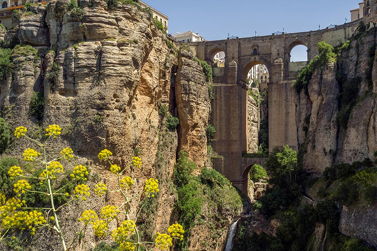 Depuis Malaga : Bus Tour à Ronda + LA Almazara EcoExperience Oleoturismo