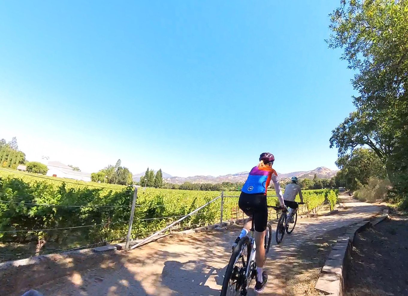 Napa/Sonoma: Guidet tur for cykelentusiaster
