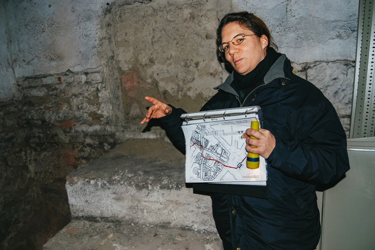 Vienna: 1.5-Hour Underground Walking Tour Tour in German