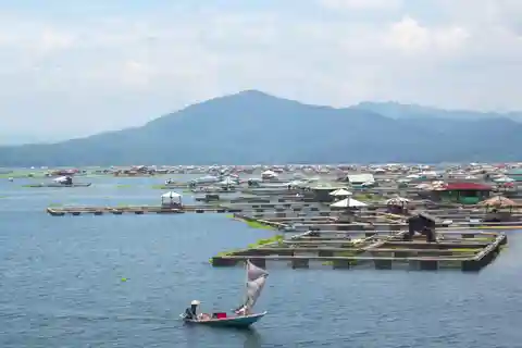 Cianjur : Floating Village, Boat Ride, Floating house