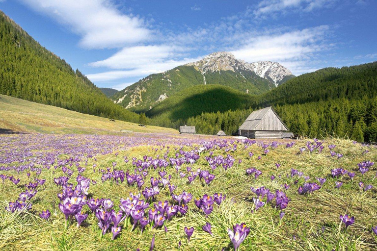 One day tour to Zakopane Tatra Mountains from Krakow