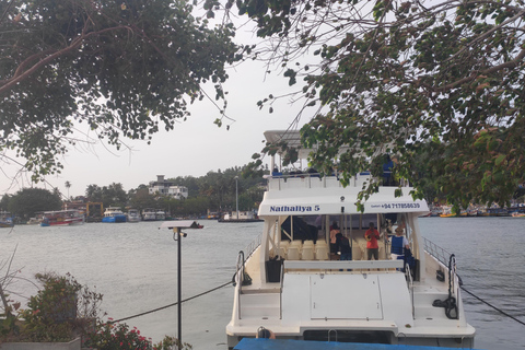 Mirissa: Sunset Whale Watching Boat Tour with Music