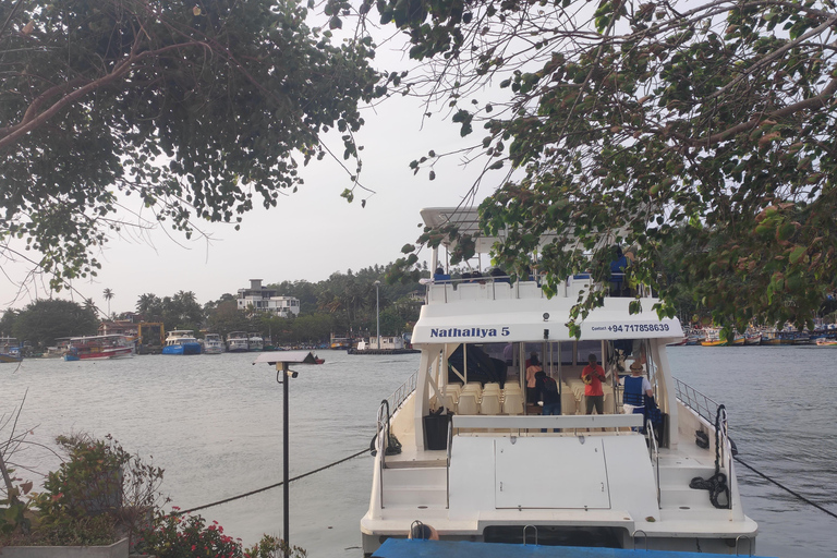 Mirissa: tour in barca con osservazione balene al tramonto e musica