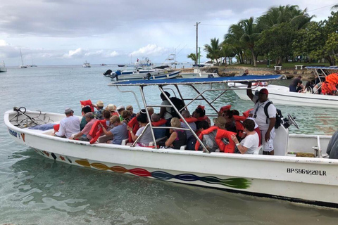 Excursión a Isla Saona desde Punta Cana con almuerzo y bar libre