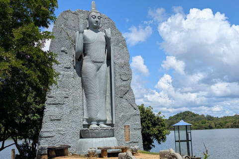 From Sigiriya:Polonnaruwa Day Tour with Farmers lunch