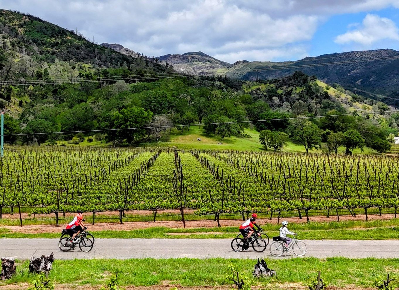 Napa/Sonoma: Guidet tur for cykelentusiaster