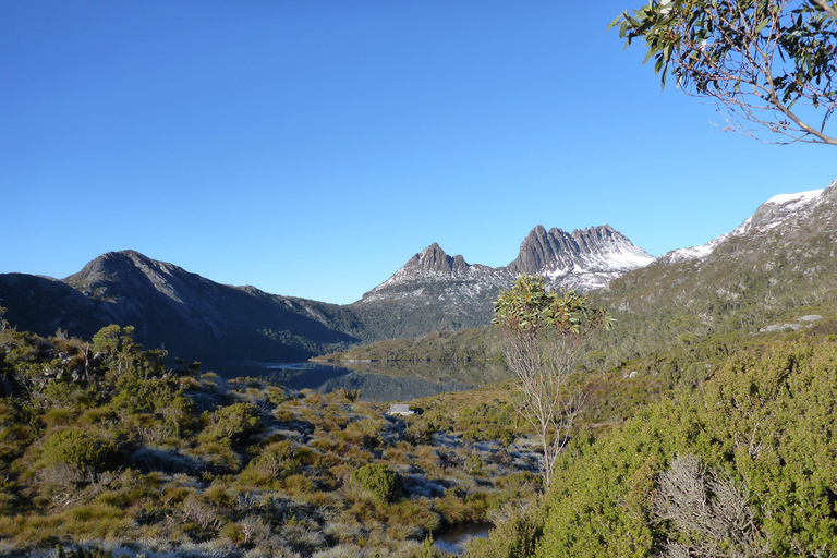 朗塞斯顿出发：摇篮山与酒杯湾两日过夜游朗塞斯顿：2日2晚摇篮山与酒杯湾之旅