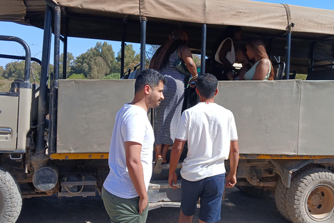 Cape Town: Aquila Game Reserve Safari with Buffet & Pickup