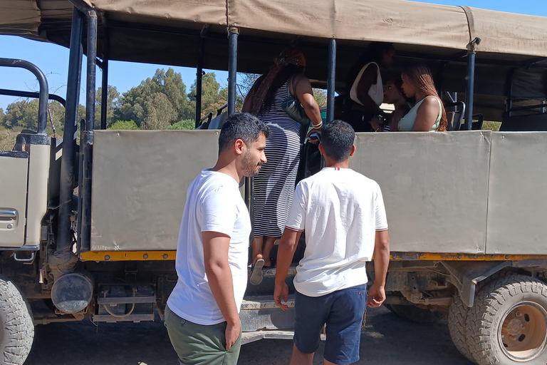 Cape Town: Aquila Game Reserve Safari with Buffet & Pickup