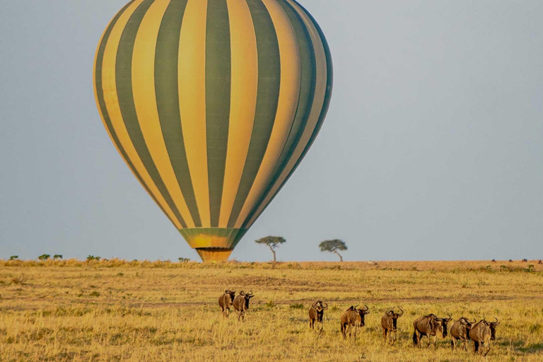 4-dniowe safari Masai Mara połączone z lotem balonem na ogrzane powietrze