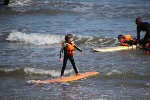 1h Surfbrettverleih im Yachthafen von Valencia