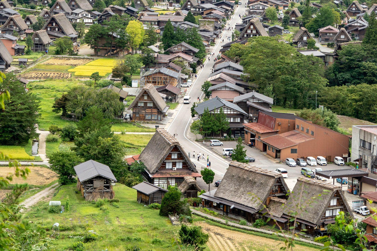 Nagoya: Shirakawa-go & Takayama Guided Day Trip