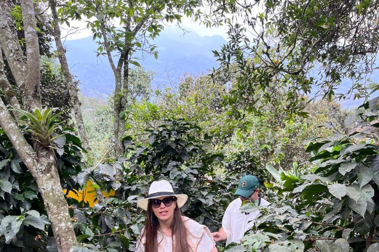 From Bogotá: Cerro Monserrate or Guadalupe and All-Inclusive Coffee Sightseeing Tour