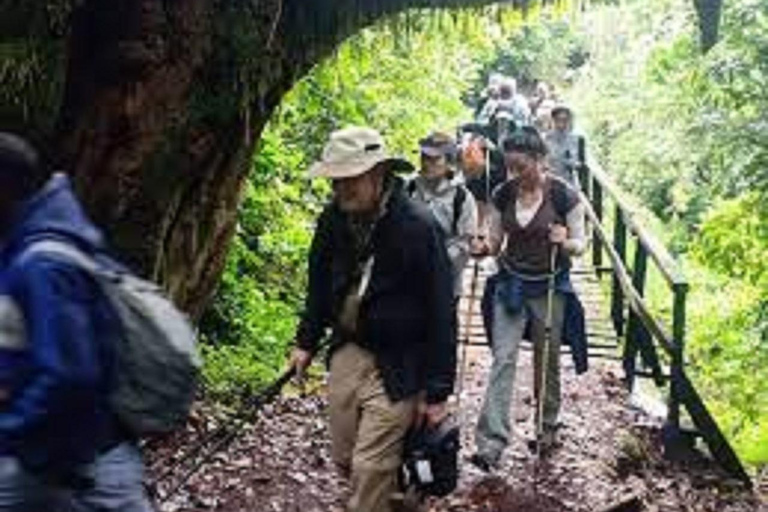 KILIMANJARO DAY TOUR THEOUGH MARANGU ROUTE ONE DAY HIKING MOUNT KILIMANJARO VIA MARANGU ROUTE