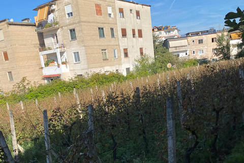 Da Tirana-RAKI E DEGUSTAZIONE DI VINO IN LIBRAZHD