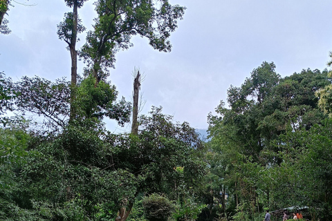 Garden & Botanical Sightseeing of Kathmandu Valley Guide Only