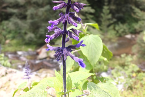 Cidade do México: Caminhada matinal no Mirador Coconetla