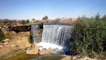 Exploring the Hidden Gems of Fayoum: A Tourism Guide - Nature and Wildlife