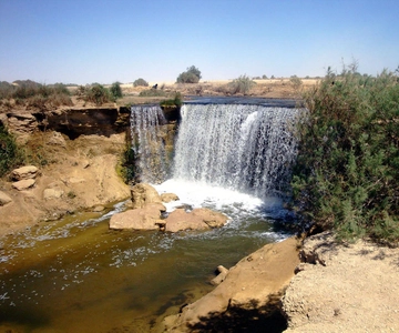 From Cairo: Full-Day Tour To El Fayoum