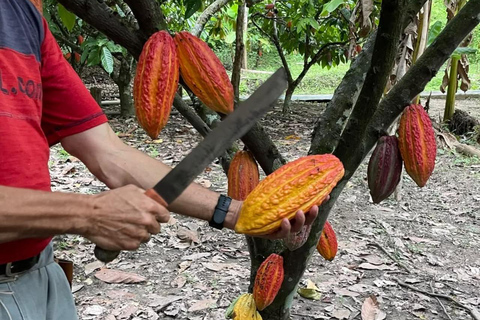 From Accra: Boti Falls, Cocoa Farm, & Aburi Gardens Day Trip