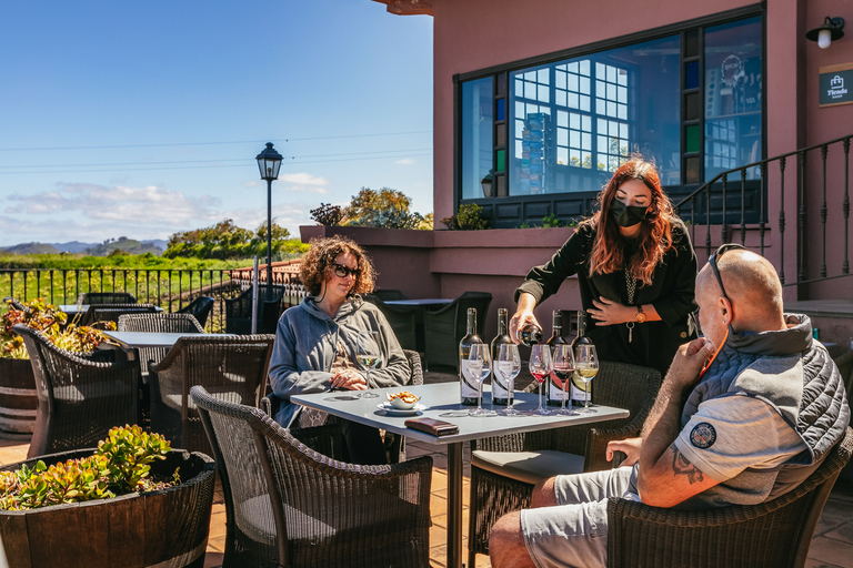 Tacoronte: tour guiado por uma vinícola com degustação de vinhos e queijosTacoronte: Visita guiada à vinícola com degustação de vinhos e queijos