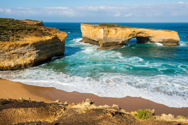 Great Ocean Road Boutique Minibus Reverse Tour & 12 Apostles Minibus Meeting Point Pickup (Max 23 Guests)