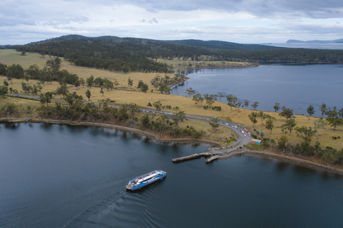 Desde Hobart: excursión de día completo a la naturaleza y los productos de Bruny Island