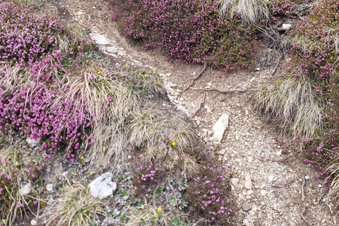 VENICE : TOUR LAKES OF DOLOMITES and TIBETAN BRIDGE