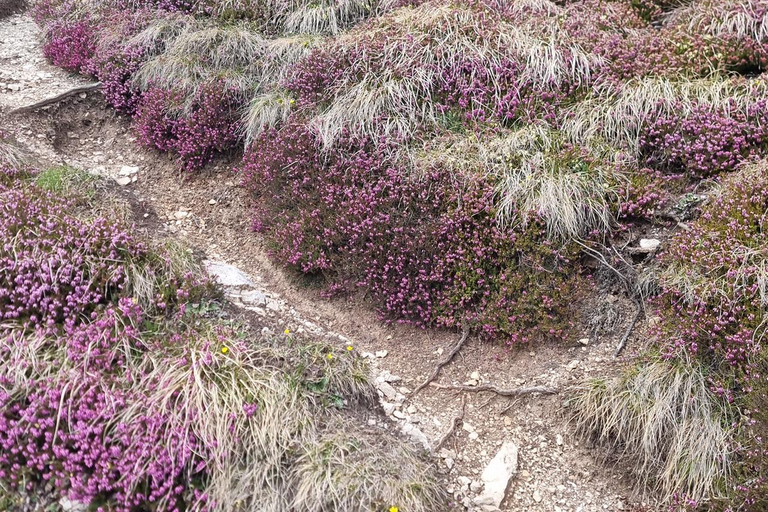 VENICE : TOUR LAKES OF DOLOMITES and TIBETAN BRIDGE
